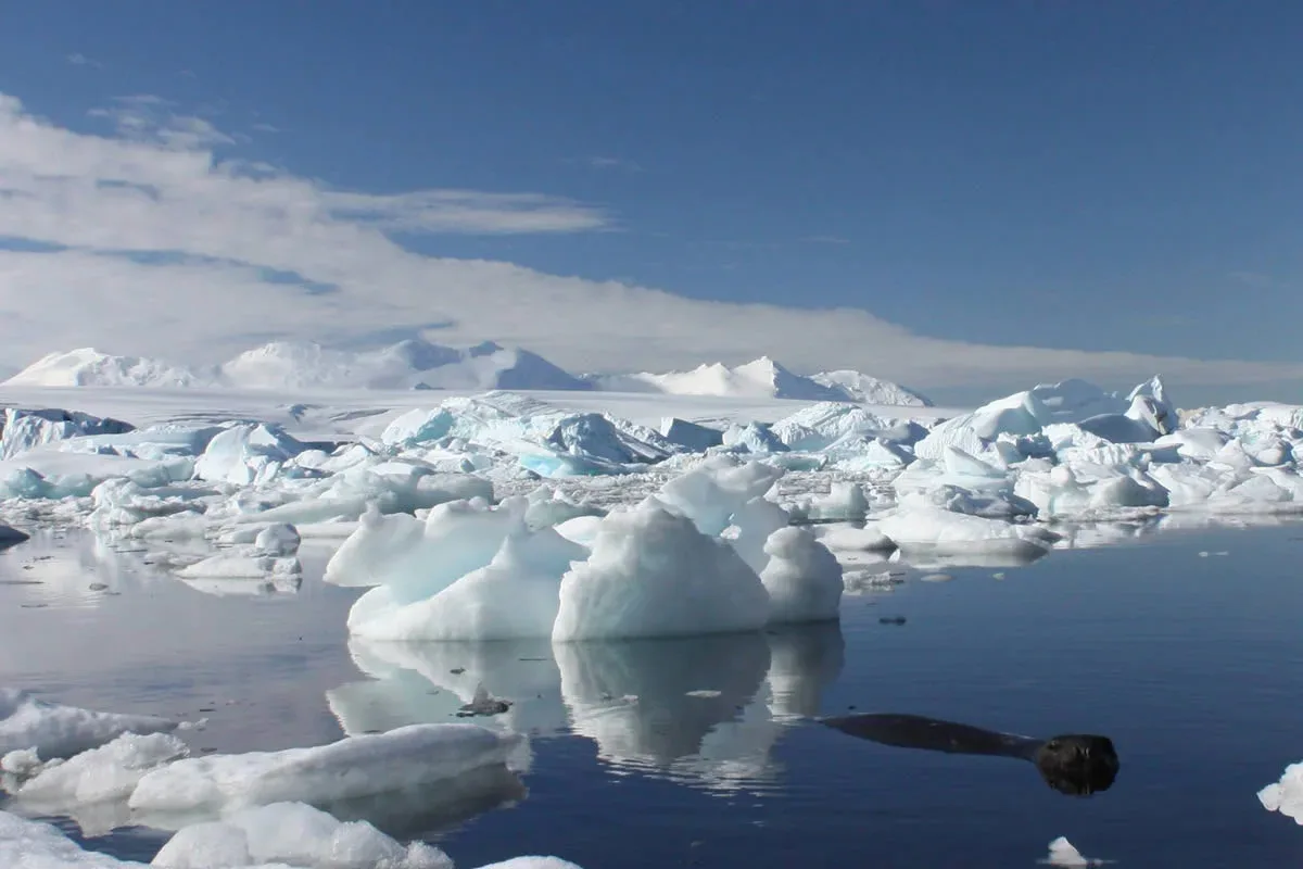Klimaændringer: Hvorfor sker de hurtigere, end forskere forudså?